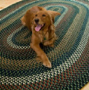 dogoncarpet.jpg