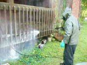 sprayingdecklow14kb.jpg